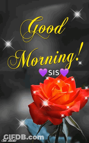 A Red Rose Is On A Black Background With The Words Good Morning Sis GIF