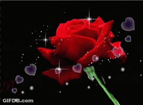 A Red Rose Is Surrounded By Hearts And Stars On A Black Background GIF