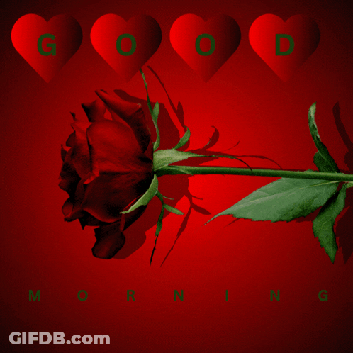 A Red Rose Is Surrounded By Red Hearts With The Words Good Morning GIF