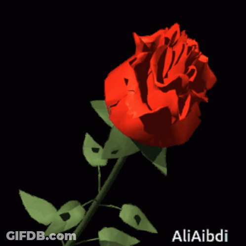 A Red Rose On A Black Background With The Name Aliaibdi On The Bottom GIF