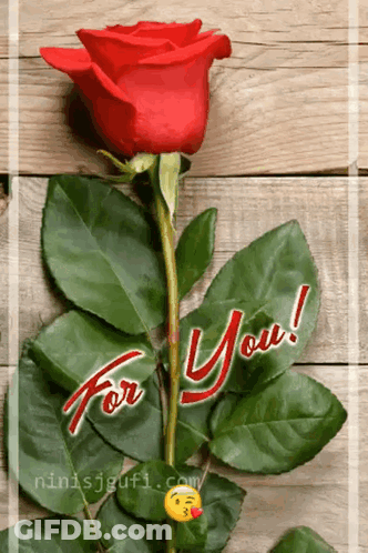 A Red Rose On A Wooden Table With The Words For You On It GIF
