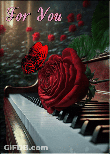 A Red Rose Sits On A Piano With The Words For You GIF
