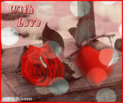 A Red Rose Sits On A Wooden Ledge With The Words " With Love " Written Above It GIF