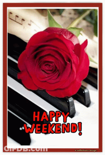 A Red Rose Sits On Top Of A Piano Keyboard With The Words Happy Weekend Written Below It GIF