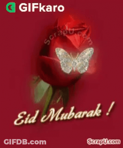 A Red Rose With A Butterfly On It And The Words Eid Mubarak On It GIF