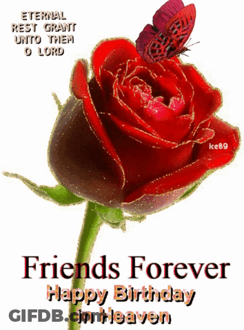 A Red Rose With A Butterfly On It And The Words Friends Forever GIF