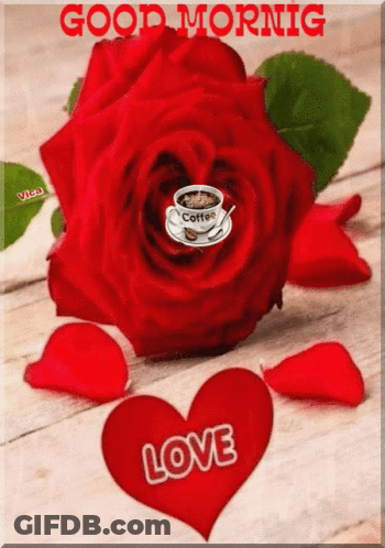A Red Rose With A Cup Of Coffee In It GIF