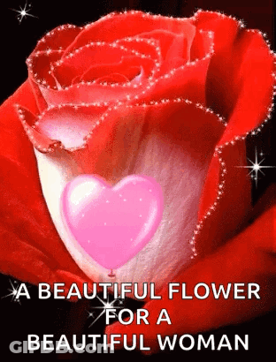 A Red Rose With A Pink Heart Inside Of It And The Words `` A Beautiful Flower For A Beautiful Woman '' GIF