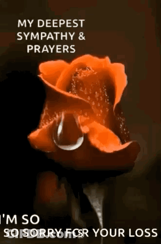 A Red Rose With A Tear Coming Out Of It GIF
