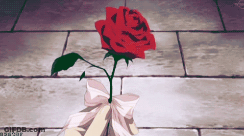 A Red Rose With A White Bow Is On A Tiled Floor With A Watermark That Says Cxstar GIF