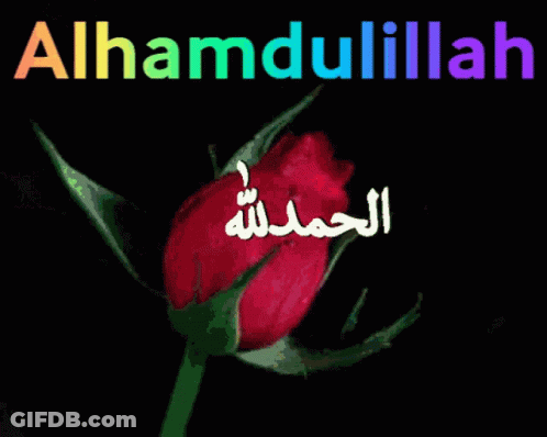 A Red Rose With Arabic Writing On It And The Words Alhamdulillah GIF