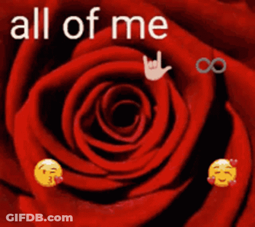 Red Rose With All Of Me Loves Text GIF