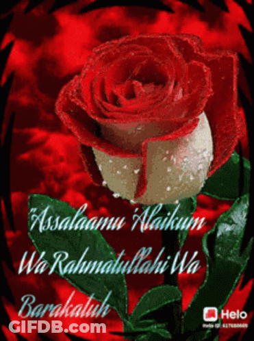 A Red Rose With The Words Assalamu Alaikum Wa Rahmatullahi Wa Barakatuh GIF