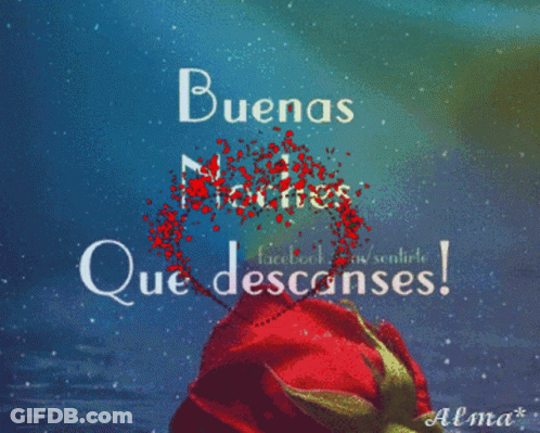 A Red Rose With The Words " Buenas Noches Que Descanses " Above It GIF