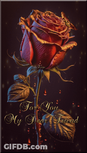 A Red Rose With The Words For You My Dear Friend On It GIF