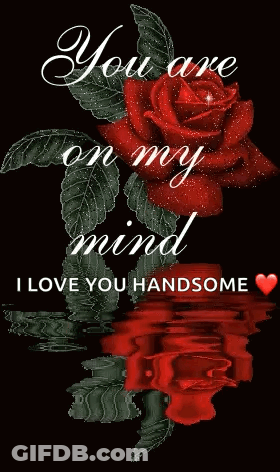 A Red Rose With The Words " You Are On My Mind I Love You Handsome " On It GIF