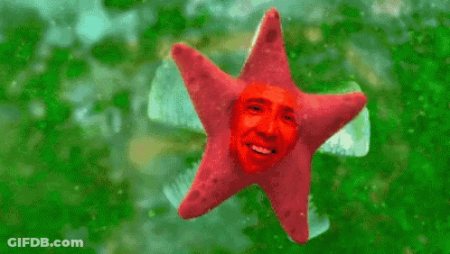 A Red Starfish With A Man 'S Face On It Is Floating In The Water . GIF