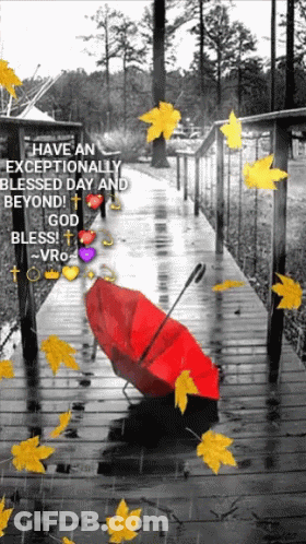 A Red Umbrella Sits On A Wooden Walkway In The Rain With Leaves Falling Around It GIF