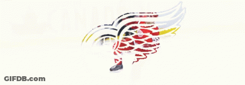 A Red White And Black Wing With A Circle In The Middle On A White Background GIF
