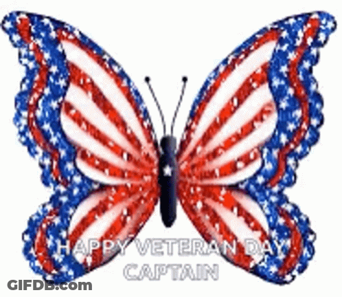 A Red , White And Blue Butterfly With The Words `` Happy Veteran Day Captain '' Written On It GIF