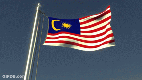 A Red White And Blue Flag With A Crescent Moon And Star On It GIF