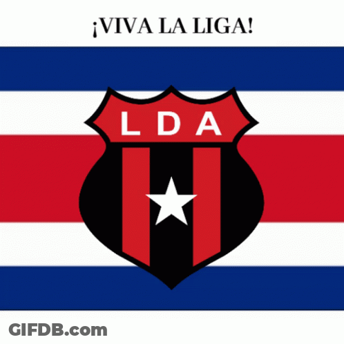 A Red White And Blue Flag With A Shield That Says Lda And A Star GIF