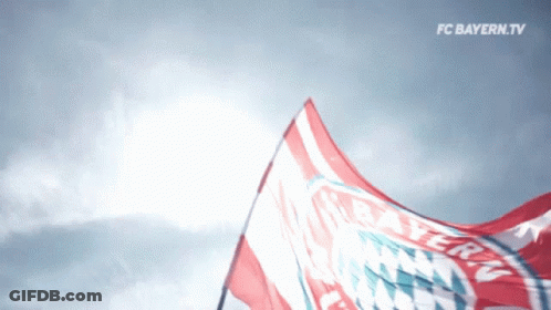 A Red White And Blue Flag With Bayern On It GIF