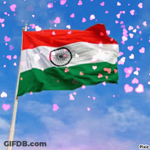 A Red White And Green Flag With Pink Hearts Falling Around It GIF