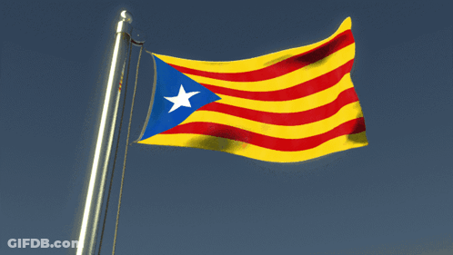 A Red Yellow And Blue Flag With A Blue Star In The Center GIF