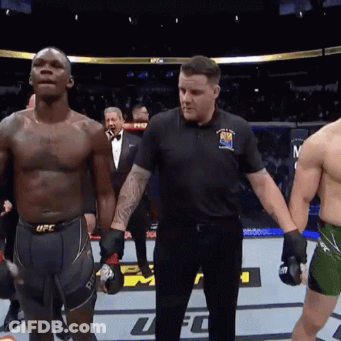 A Referee Holds The Hand Of A Fighter In A Ufc Match GIF