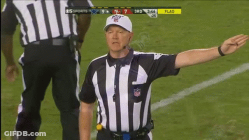 A Referee Stands On The Field During A Football Game Between The Cowboys And The Jets GIF