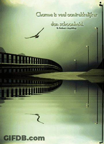 A Reflection Of A Bridge In The Water With The Words Charme Is Veel Aantrekkelijker Dan Schoonheid Above It GIF