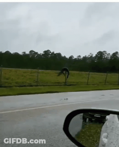 A Reflection Of A Car In A Rear View Mirror Of A Grassy Field GIF