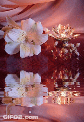 A Reflection Of A Flower In The Water With A Candle GIF