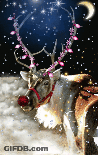 A Reindeer With A Red Nose And Pink Lights On Its Antlers Stands In The Snow GIF