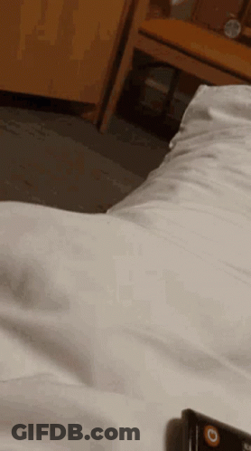 A Remote Control Is Laying On A Bed Next To A Pillow . GIF