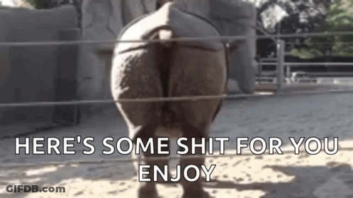 A Rhinoceros Is Standing In The Dirt In A Zoo Enclosure . GIF
