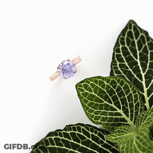 A Ring With A Purple Stone Is On A Green Leaf GIF
