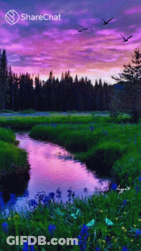 A River Flowing Through A Grassy Field With Birds Flying In The Background And The Words Sharechat At The Bottom GIF