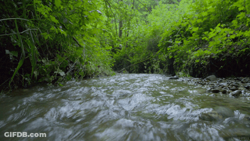 A River Flowing Through A Lush Green Forest With A Watermark That Says ' Untitled ' On It GIF