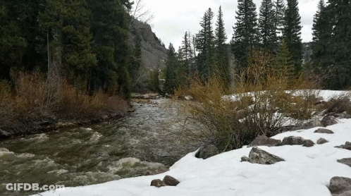 A River Flowing Through A Snowy Forest With Trees On The Side GIF
