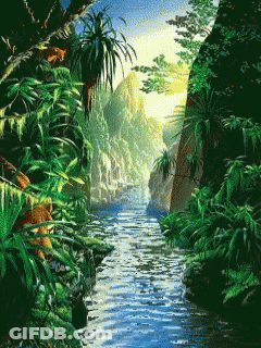 A River Running Through A Lush Green Forest GIF