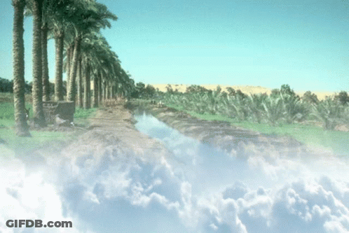A River Runs Through A Lush Green Field With Palm Trees In The Background GIF