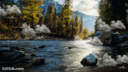 A River Surrounded By Trees And Rocks In The Rain GIF