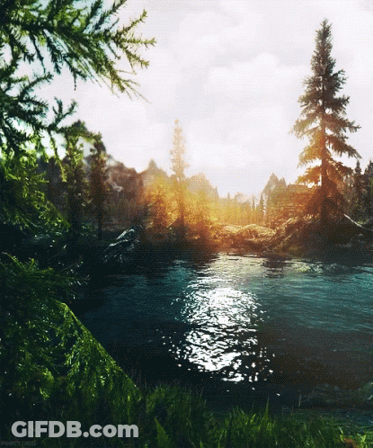 A River Surrounded By Trees With The Sun Shining Through GIF