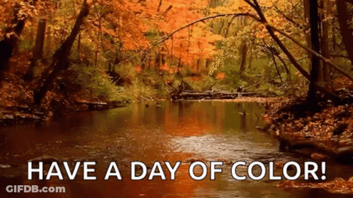 A River Surrounded By Trees With The Words Have A Day Of Color GIF