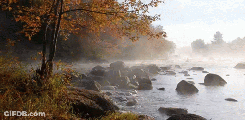 A River With Rocks And Trees On The Shore GIF