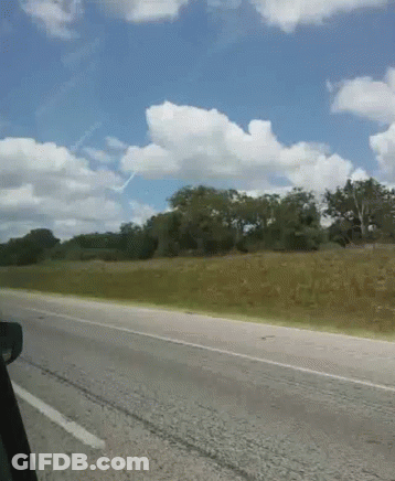 A Road With Trees On The Side Of It And A Blue Sky GIF