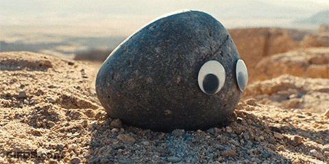 A Rock With Googly Eyes Is Sitting On The Ground GIF