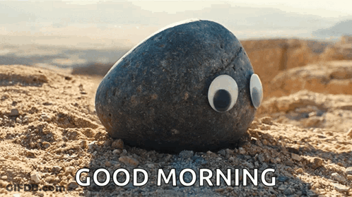 Rock With Googly Eyes Sitting In Dirt Saying Good Morning GIF